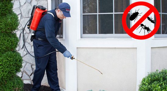 Sultandağı Akrep İlaçlama böcek ilaçlama ve haşere kontrolü — ilaclama-tr.com